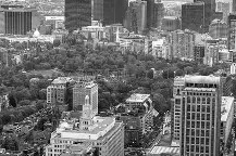 开云体育网页版入口-波士顿凯尔特人迎法甲关键赛；赛后单刀错失；球迷炸锅；更衣室氛围转暖(凯尔特人打得过骑士吗)